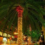 Christmas Lights in San Ramon